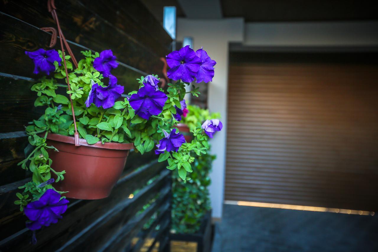 Armada Villa Hotel Zabrat ภายนอก รูปภาพ